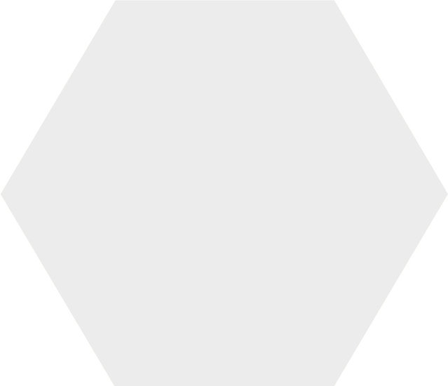 WINCKELMANS HEXAGONE 10cm 9mm Superblanc (0,42m²/46st/doos)