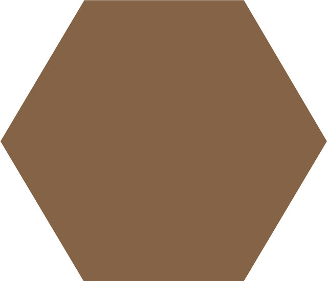 WINCKELMANS HEXAGONE 2,5cm 3,8mm Havane (1,06m²/14vel/doos)