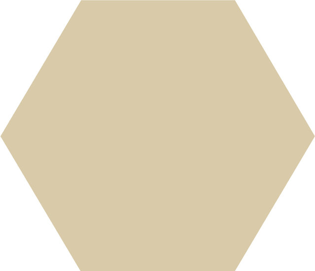 WINCKELMANS HEXAGONE 2,5cm 3,8mm Ivoire (1,06m²/14vel/doos)
