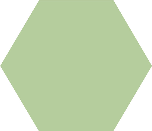 WINCKELMANS HEXAGONE 2,5cm 3,8mm Pistache (1,06m²/14vel/doos)
