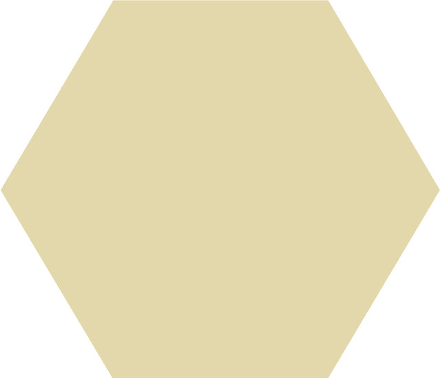 WINCKELMANS HEXAGONE 2,5cm 3,8mm Vanille (1,06m²/14vel/doos)