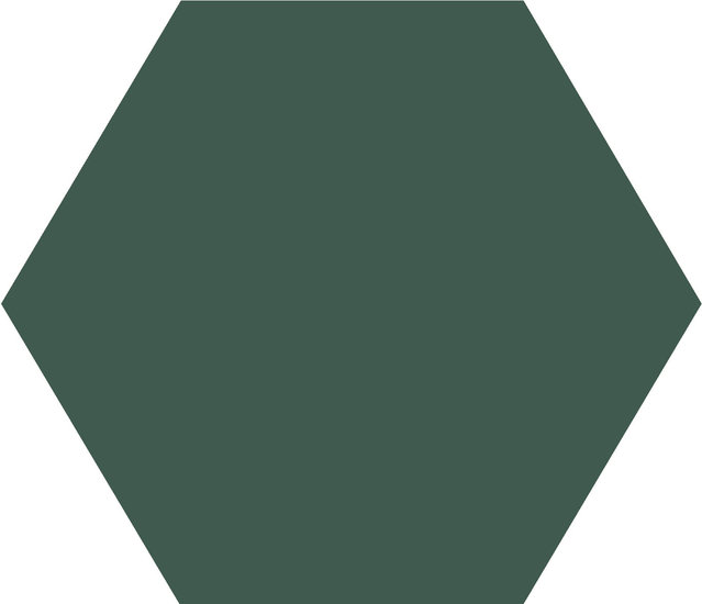 WINCKELMANS HEXAGONE 2,5cm 3,8mm Vert Fonce (1,06m²/14vel/doos)