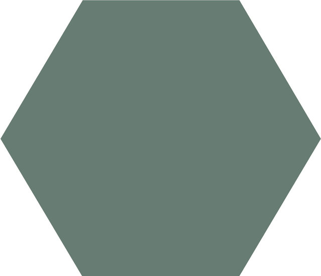 WINCKELMANS HEXAGONE 2,5cm 3,8mm Vert Uni (1,06m²/14vel/doos)