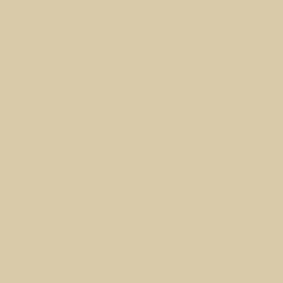 WINCKELMANS CABOCHON 5x5 Ivoire (25st/doos)
