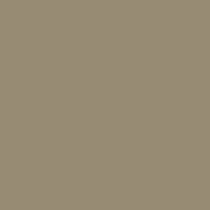 WINCKELMANS CABOCHON 3.5x3.5 Taupe (100st/doos)