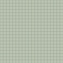 WINCKELMANS 5x5 Pistache (1,01m²/10vel/doos) (net achterzijde)
