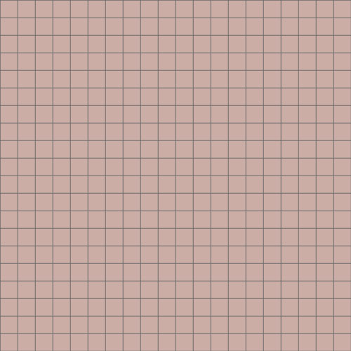 WINCKELMANS 5x5 Rose (1,01m²/10vel/doos) (net achterzijde)