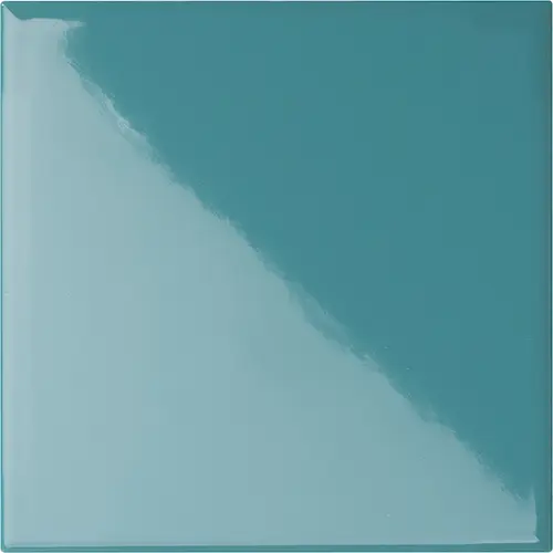 CESI LUCIDI 20x20 Silicio (1,4m²/35st/doos)