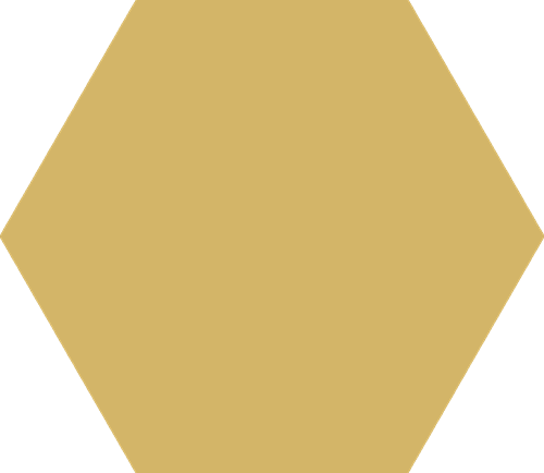 CX 25,1x22 Codicer95 Hex25 Basic Dandelion (1,04m²/25 st/doos)