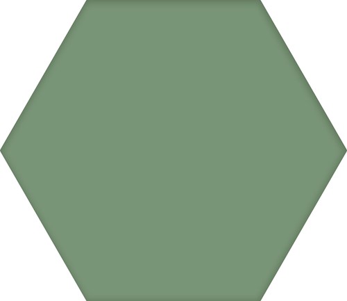 CX 25,1x22 Codicer95 Hex25 Basic Forest (1,04m²/25 st/doos)