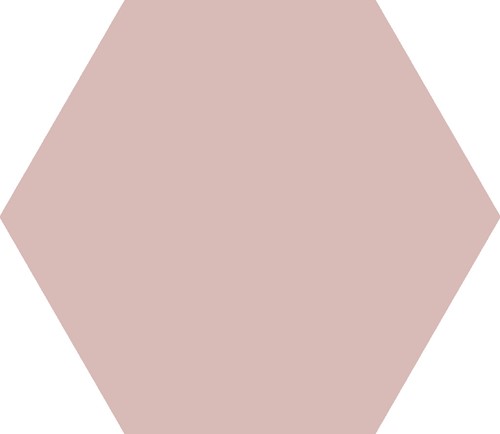 CX 25,1x22 Codicer95 Hex25 Basic Rose (1,04m²/25 st/doos)