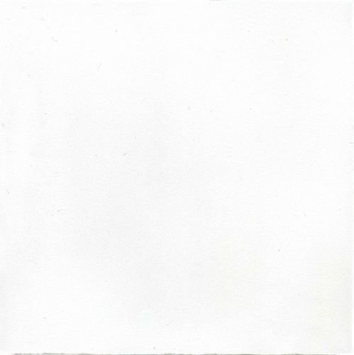 CX 10x10 Revoir Paris Atelier Blanc de Lin Mat  (0,80m²/80st/doos)