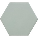 CX 14x16 Tonalite Lingotti Hexagon Verdino (0,55m²/33st/doos)