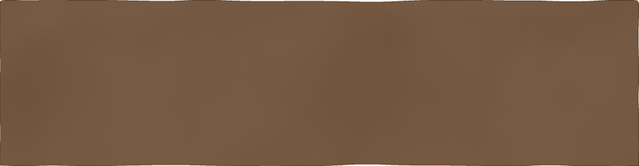 CX 8x31,5 Vives Javea Teja Brillo (0,63m²/25st/doos)