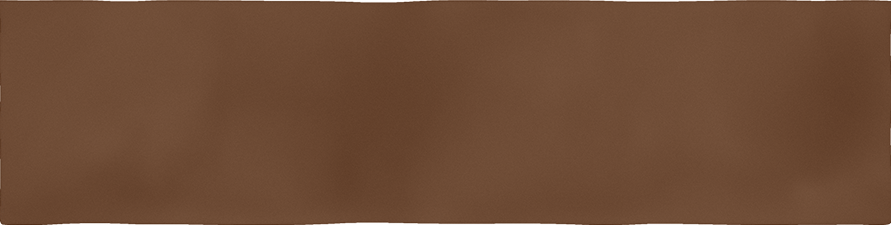 CX 8x31,5 Vives Salou Teja Mate (0,63m²/25st/doos)