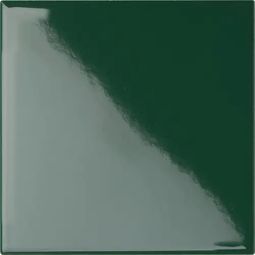 CESI LUCIDI 20x20 Rame (1,4m²/35st/doos)