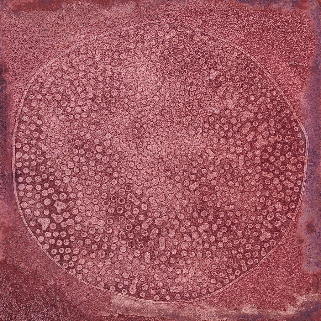 CX 20x20 Vives  Luca Carlo Granate (1m²/25st/doos)