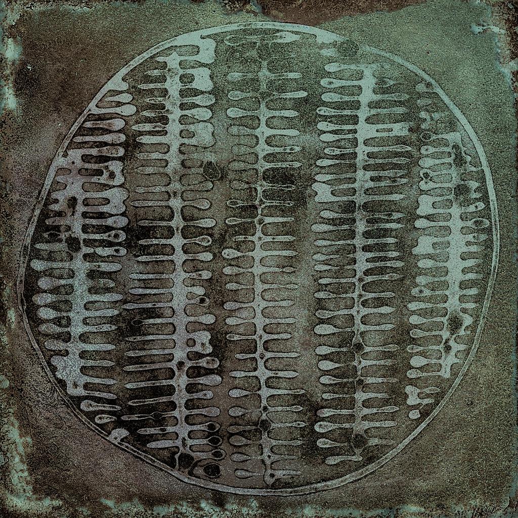 CX 20x20 Vives  Luca Carlo Jade (1m²/25st/doos)