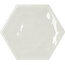 CX 12x13 Carmen Memories Kisses Mist (0,48m²/38st/doos)