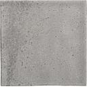 CX 20x20 Heritage Blaze Pearl Mate (1,04m²/26st/doos)