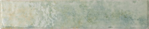 [WP5007-[T095]] CX 5x25 Wow Potters Agave (0,75m²/60st/doos)