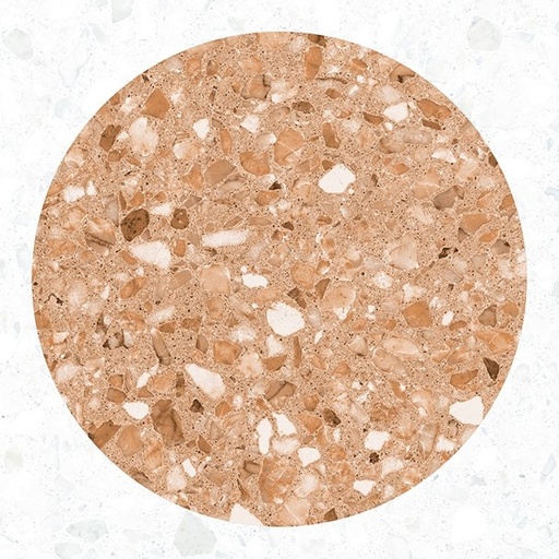 [VZ2028] CX 20x20 Vives Niza Loano-R Multicolor (1m²/25st/doos)
