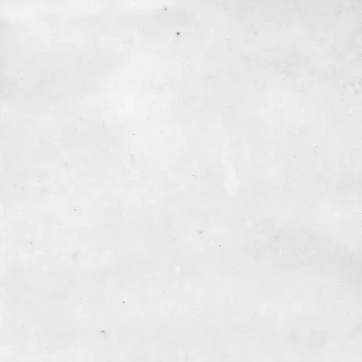 [1040846] NOHA SQUARE 10x10 White (0,60m²/60st/doos)