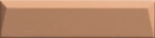 [4100609] 41ZERO42 BISCUIT 5x20 Peak Terra (0,4m²/40st/doos)