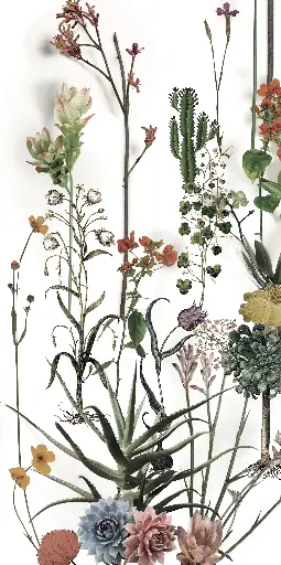 [4100716] 41ZERO42 PAPER41 LUX 60x120 Franz (2,16m²/3st/doos)