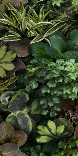 [4100153] 41ZERO42 PAPER41 PRO 50x100 Jane C (1m²/2st/doos)