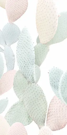 [4100712] 41ZERO42 PAPER41 PRO 50x100 Marcela (1m²/2st/doos)