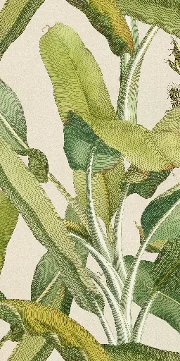 [4100336] 41ZERO42 PAPER41 PRO 50x100 Musa (1m²/2st/doos)