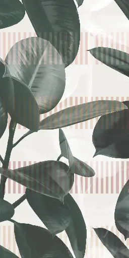 [4100713] 41ZERO42 PAPER41 PRO 50x100 Olivia (1m²/2st/doos)