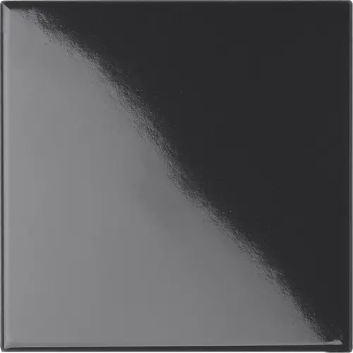 [5LU100100-132] CESI LUCIDI 10x10 Arsenico (1m²/100st/doos)