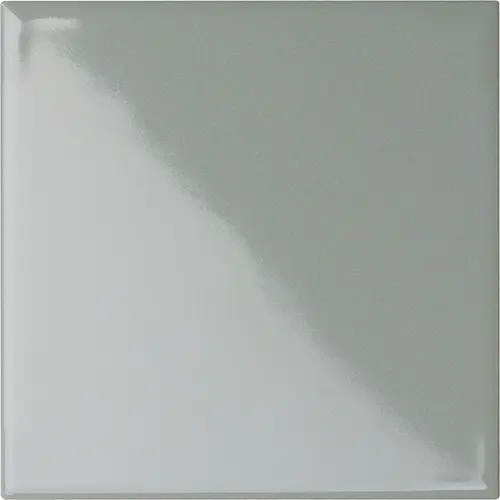 [5LU100100-145] CESI LUCIDI 10x10 Stagno (1m²/100st/doos)