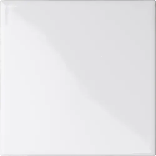 [5LU100100-118] CESI LUCIDI 10x10 Talco (1m²/100st/doos)