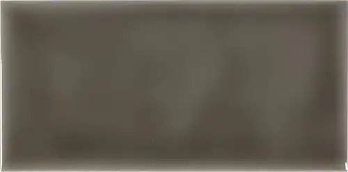 [ST3609-[T178]] CX 9,8x19,8 Adex Studio Liso Timberline (1,08m²/56st/doos)