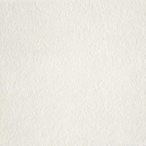 [6251032925] MOSA CORE COLLECTION TERRA 60x60 200RL Cool Porcelain White (1,07m²/ 3st/doos)