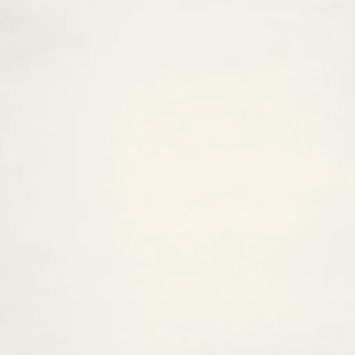 [6251031175] MOSA CORE COLLECTION TERRA 60x60 200V Cool Porcelain White (1,07m²/3st/doos)