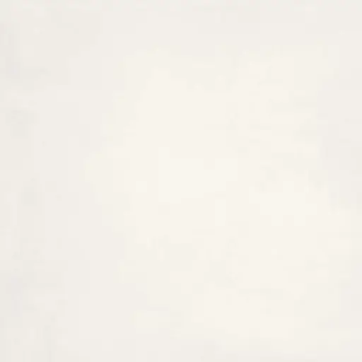 [6251031225] MOSA CORE COLLECTION TERRA 90x90 200V Cool Porcelain White (0,81m²/1st/doos)