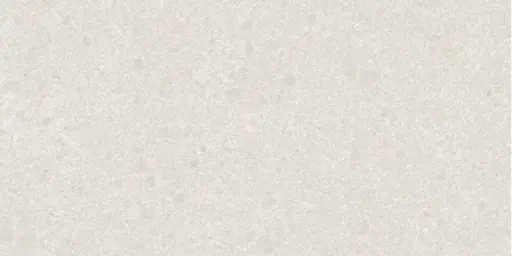 LIVING FRAME 60x120 Ice Soft Textured (1,43m²/2st/doos)