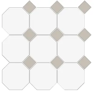 [5FB100100REOT41] CESI FULL-BODY 10x10 OTTAGONO (op vel) Fluoro-Alluminio (1m²/11vel/ds)