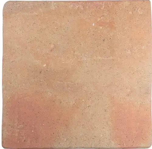 [WR2202-[T150]] CX 22x22 Wow Roots L Cotto (0,73m²/15st/doos)