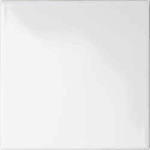 [7000136377] KALYSTA 20x20 Wit Glans (1m²/25st/doos)