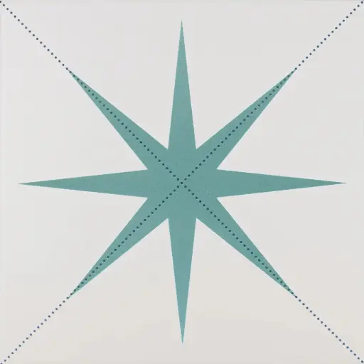 [CH2025-[T149]] CX 20x20 Cevica Habana Dec. Code N1 (0,60m²/15st/doos)