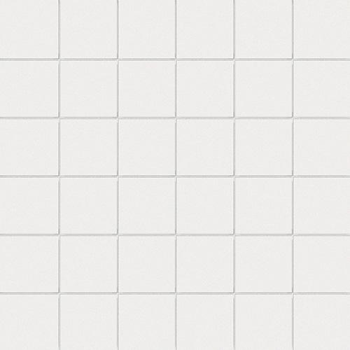 [5FB050050RE-510] CESI FULL-BODY 5x5 Fluoro (1m²/11mat/ds)