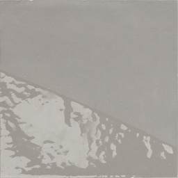 [AX1357] CX 13,8x13,8 Carmen Delight Drop Grey (0,5m²/26st/doos)