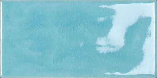 [TB1202-[T165]] CX 10x20 Tonalite Briolette Apatite (1m²/50st/doos)