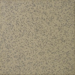 [43461-501] WINCKELMANS 10x10 Gris Porfier 501 (0,5m²/50st/doos)