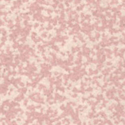 [43499-507] WINCKELMANS 10x10 Rose Porfier 507 (0,5m²/50st/doos)